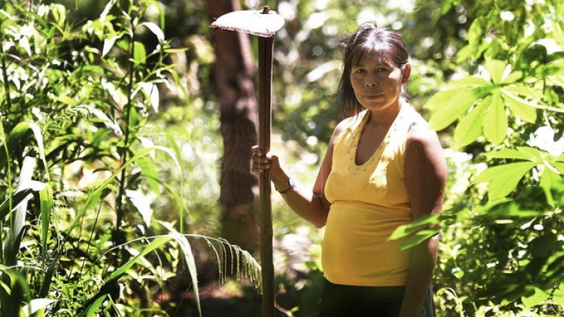 Cómo vive la comunidad indígena Guaraní Yasy Porá una pandemia en pleno corazón turístico