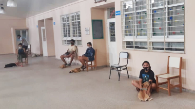 La protectora de animales de Charata avanza con las castraciones gratuitas