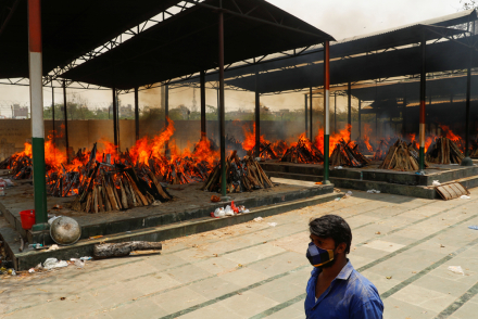 india13.jpg