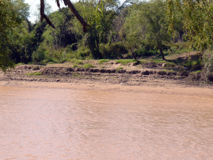 Paraná5.jpg