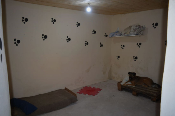 Huellas Caninas inauguró un albergue propio