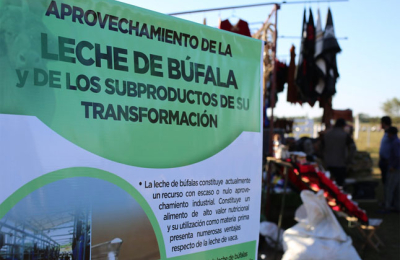 Ponen en marcha proyecto para producir productos lácteos en la provincia