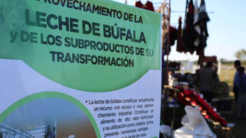 Ponen en marcha proyecto para producir productos lácteos en la provincia