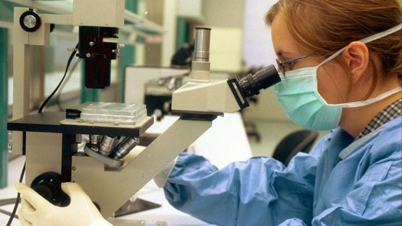 Investigadores descubrieron el punto débil del coronavirus