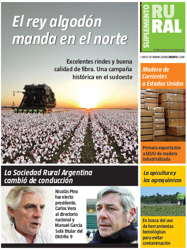 El rey algodón manda en el norte