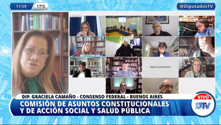 Diputados emergencia.jpg