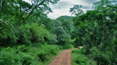 Proyectan un corredor turístico que mostrará la gran biodiversidad de la región de yungas en el país