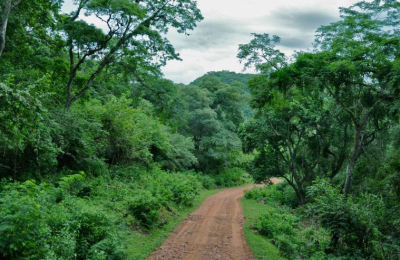 Proyectan un corredor turístico que mostrará la gran biodiversidad de la región de yungas en el país