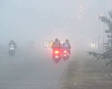 niebla hoy 2.JPG