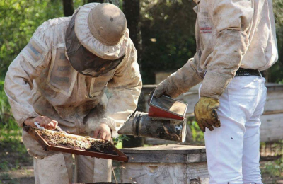 El retraso de la cosecha de miel generó sobrantes de producción de la pasada campaña