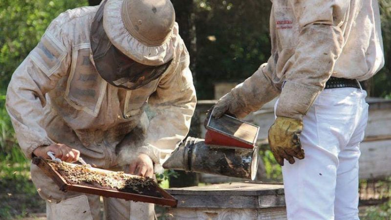 El retraso de la cosecha de miel generó sobrantes de producción de la pasada campaña