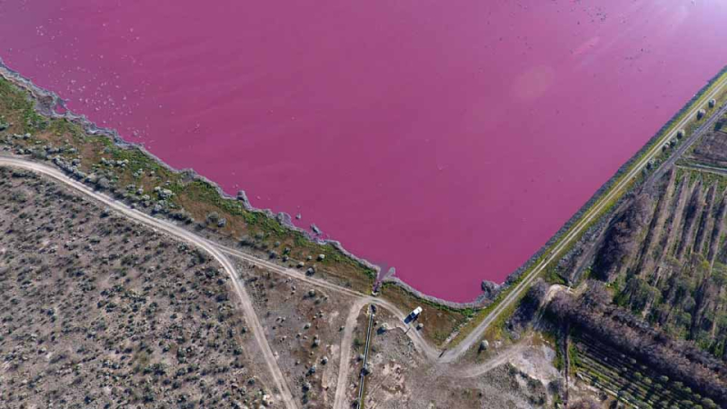Chubut: las lagunas rosadas no son una maravilla natural