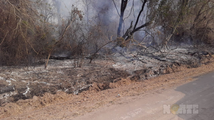 incendio2.jpg