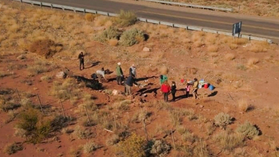 Descubren restos fósiles de un dinosaurio herbívoro de entre 96 y 99 millones de años