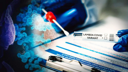 Lambda variante.JPG