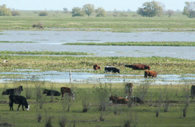 Las aguas bajan por el laberinto