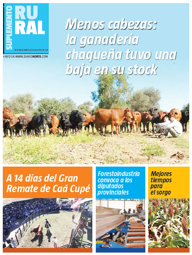 Menos cabezas: la ganadería chaqueña tuvo una baja en su stock