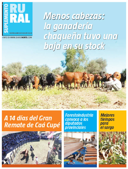 Menos cabezas: la ganadería chaqueña tuvo una baja en su stock