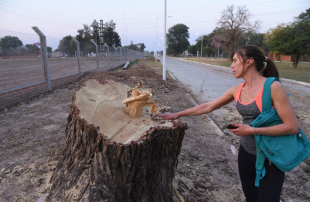 arbol2.jpg