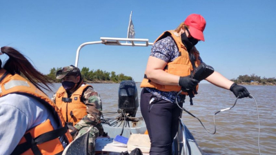 Bajante: expertos monitorearon la calidad del agua del Paraná