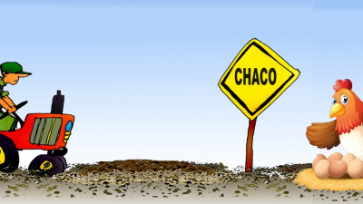 Dos caminos, una sola provincia