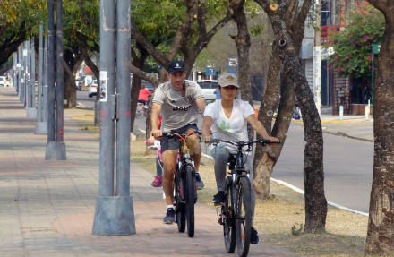 Resis bicis.JPG copy copy