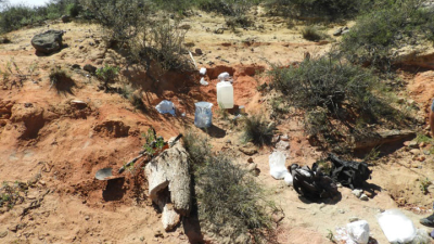 Río Negro: hallaron restos de dinosaurios de más de 70 millones de años