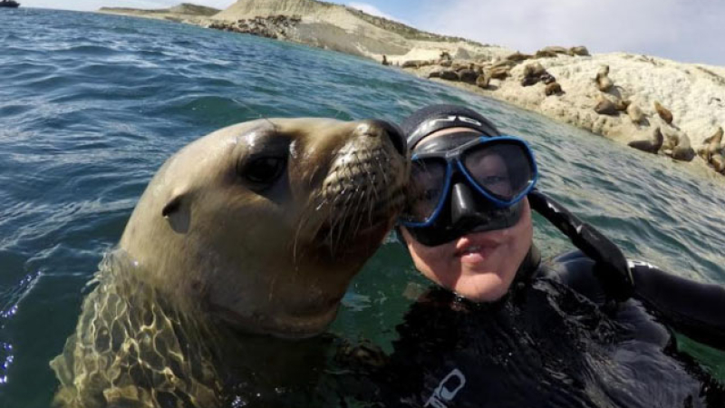 Puerto Madryn en primavera: el reino animal en su hábitat natural
