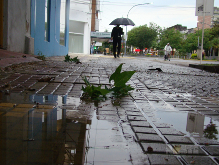 agua6.jpg
