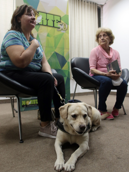 libro braille 1.JPG
