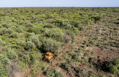 Desmontes: el gobierno coincide con informe de Greenpeace, pero advierte diferencias