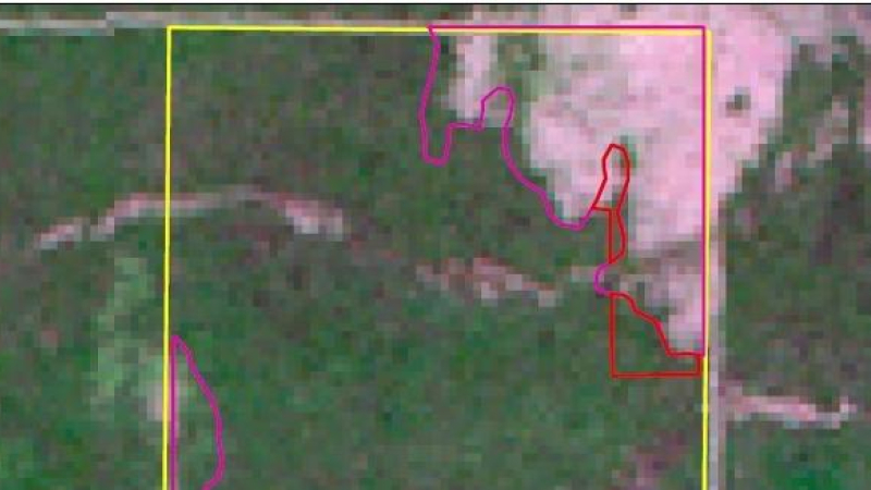 La provincia desmiente denuncia de Greenpeace y asegura que acciones en un campo comprenden trabajos de limpieza