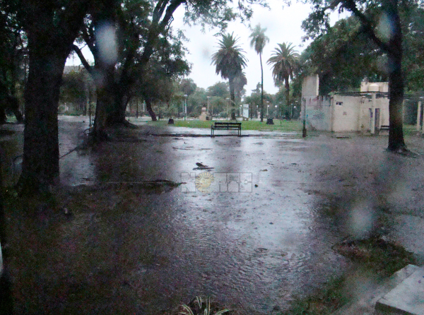 Fotos: Fabián Maldonado.
