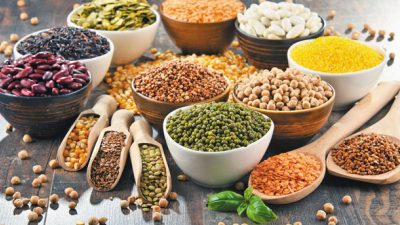 Destacan el potencial de la producción de alimentos con base en legumbres