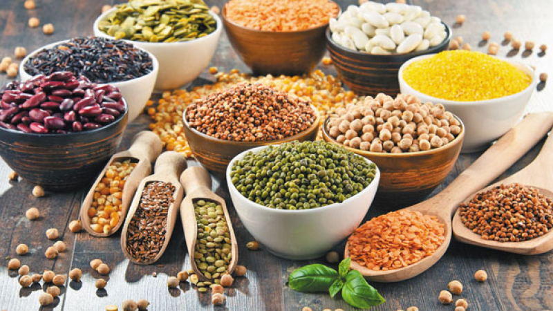 Destacan el potencial de la producción de alimentos con base en legumbres