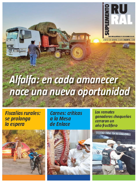 Alfalfa: en cada amanecer nace una nueva oportunidad