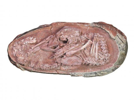huevo-dinosaurios.jpg