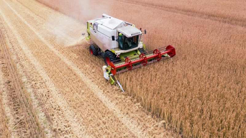 Cómo prepararse de forma óptima para afrontar las nuevas campañas agrícolas