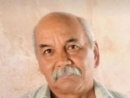 vaquita.jpg