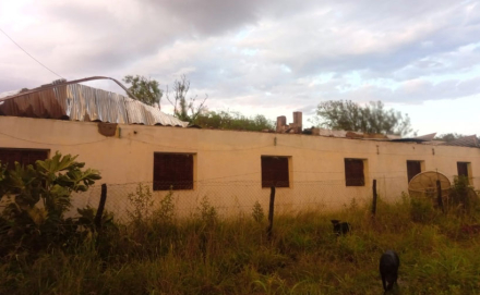 escuela3.jpg