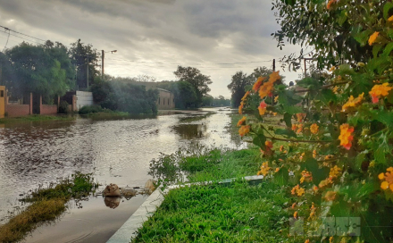 LLUVIA3.jpg