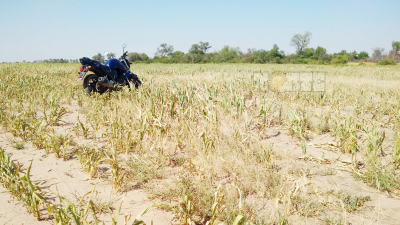 El Chaco lleva 50.000 hectáreas perdidas por el calor