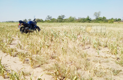 El Chaco lleva 50.000 hectáreas perdidas por el calor