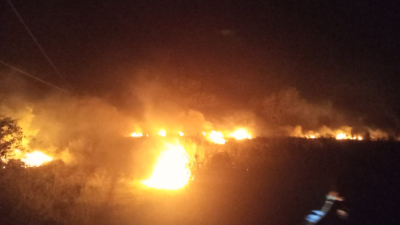 Total impunidad de un hombre en Puerto Tirol para provocar incendios