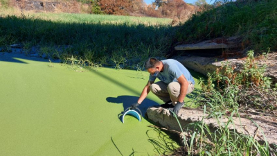 Río Negro: no encontraron cianobacterias en las muestras tomadas por la APA