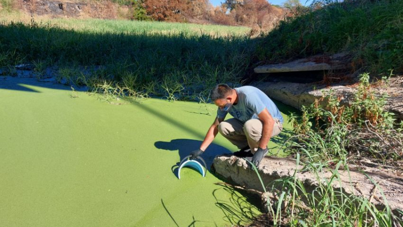 Río Negro: no encontraron cianobacterias en las muestras tomadas por la APA
