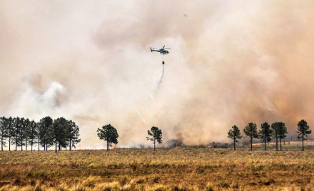 corrientes.jpg