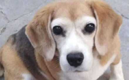 lola.jpg