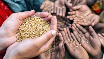 La crisis alimentaria crece con alza de precios y restricción de exportaciones