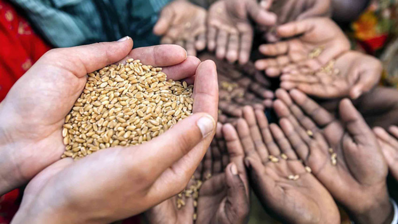 La crisis alimentaria crece con alza de precios y restricción de exportaciones